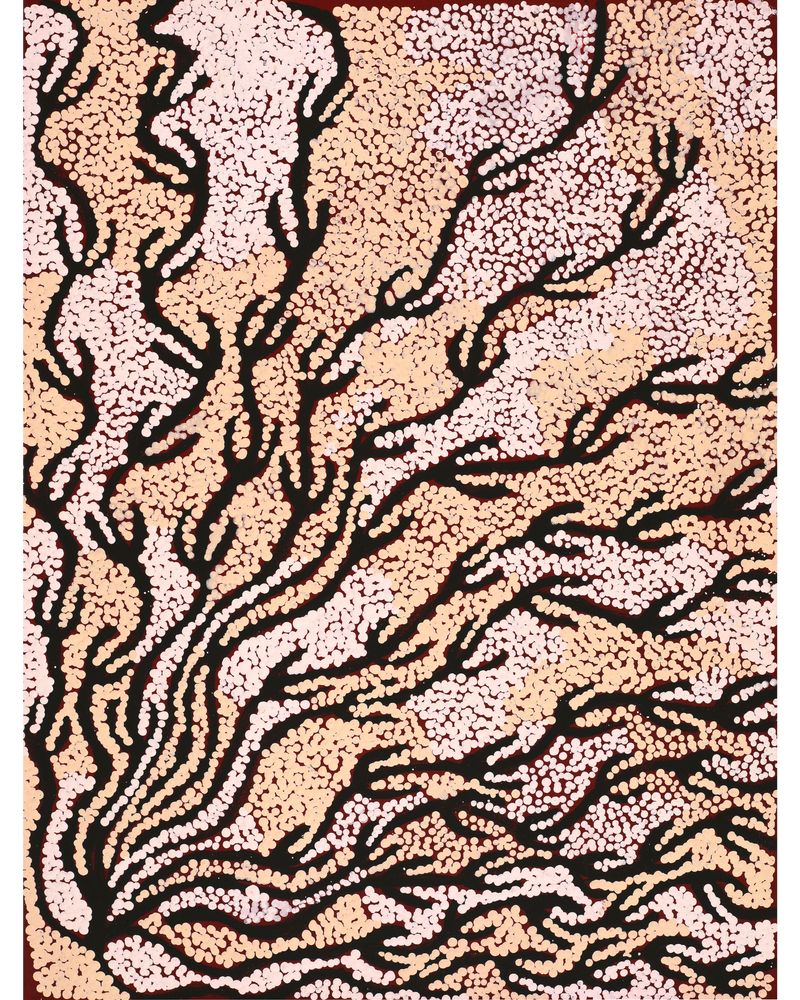 Aboriginal Artwork by Susie Nangala Watson, Mina Mina Dreaming, 61x46cm
