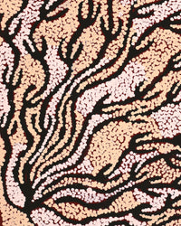 Aboriginal Artwork by Susie Nangala Watson, Mina Mina Dreaming, 61x46cm