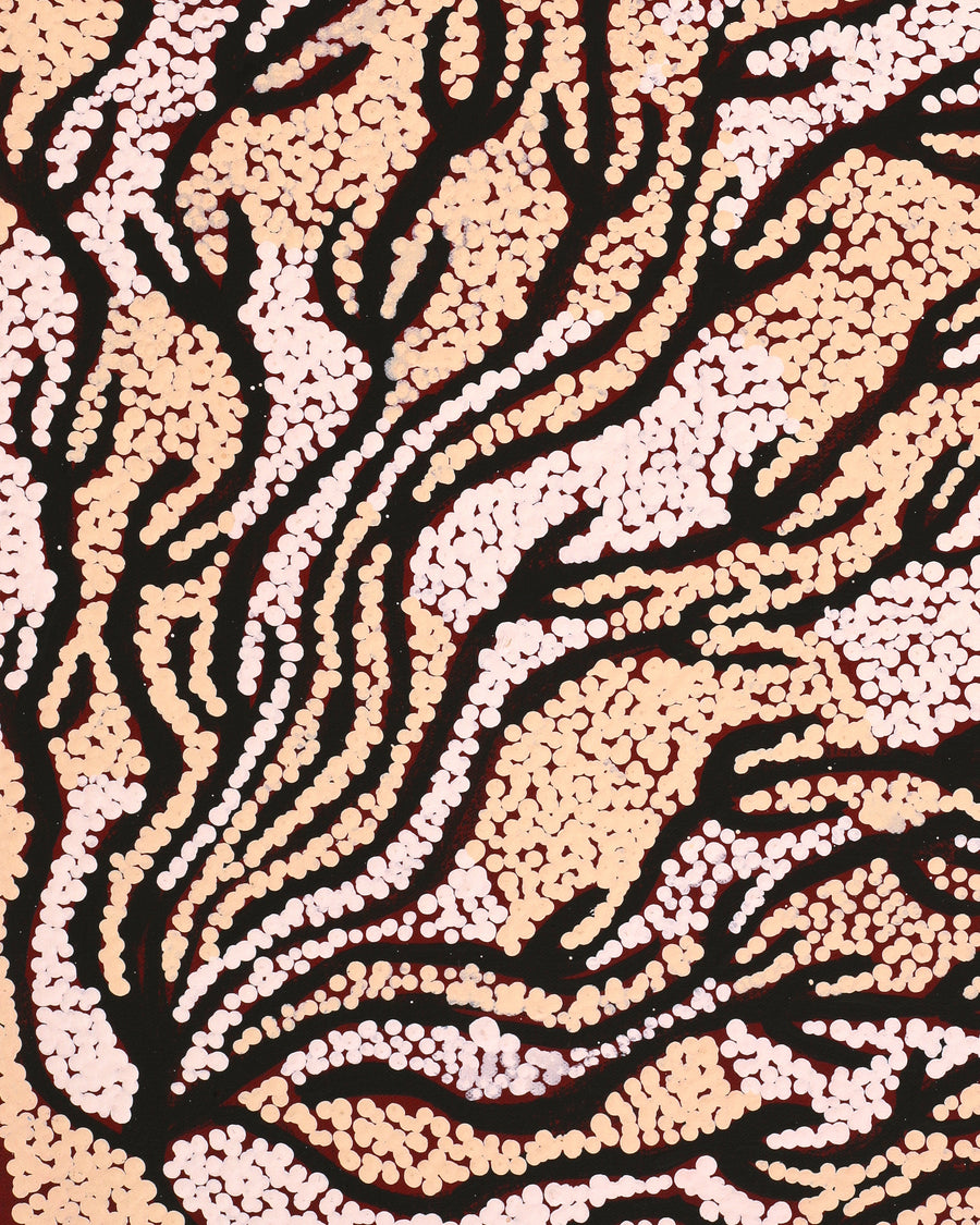 Aboriginal Artwork by Susie Nangala Watson, Mina Mina Dreaming, 61x46cm