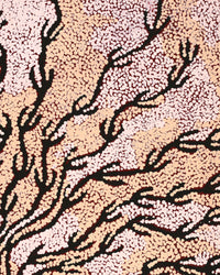 Aboriginal Artwork by Susie Nangala Watson, Mina Mina Dreaming, 61x46cm