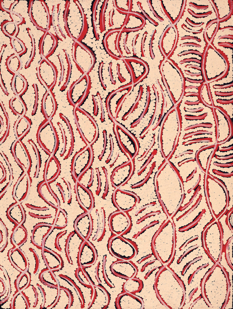 Aboriginal Artwork by Susie Nangala Watson, Mina Mina Dreaming, 61x46cm