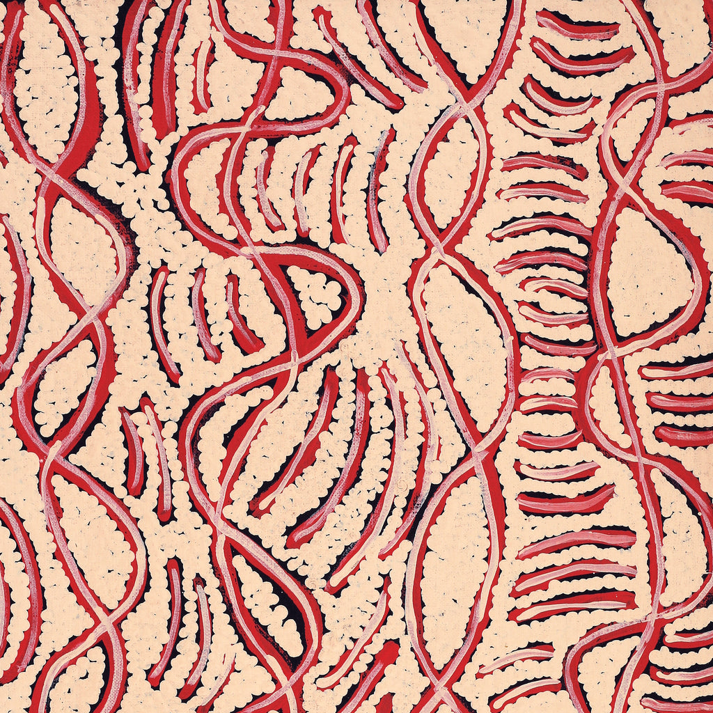 Aboriginal Artwork by Susie Nangala Watson, Mina Mina Dreaming, 61x46cm