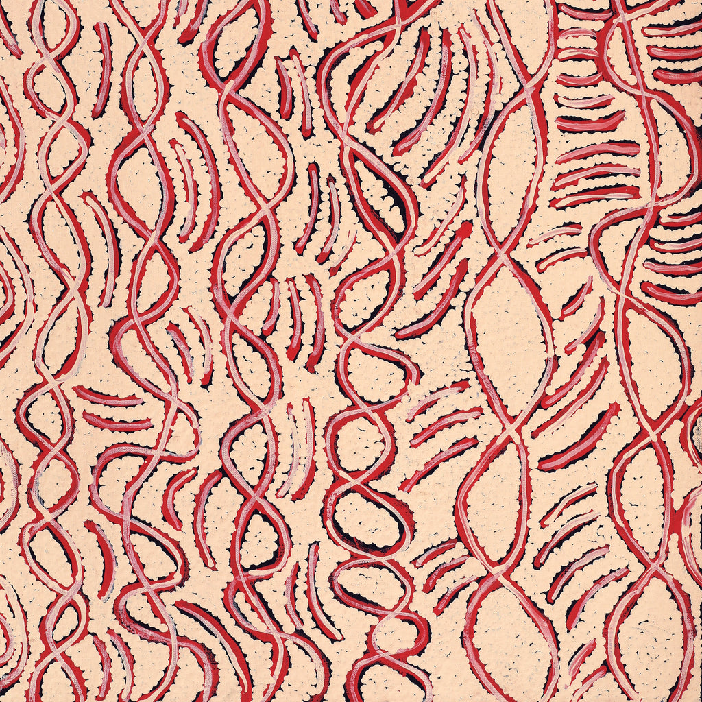 Aboriginal Artwork by Susie Nangala Watson, Mina Mina Dreaming, 61x46cm