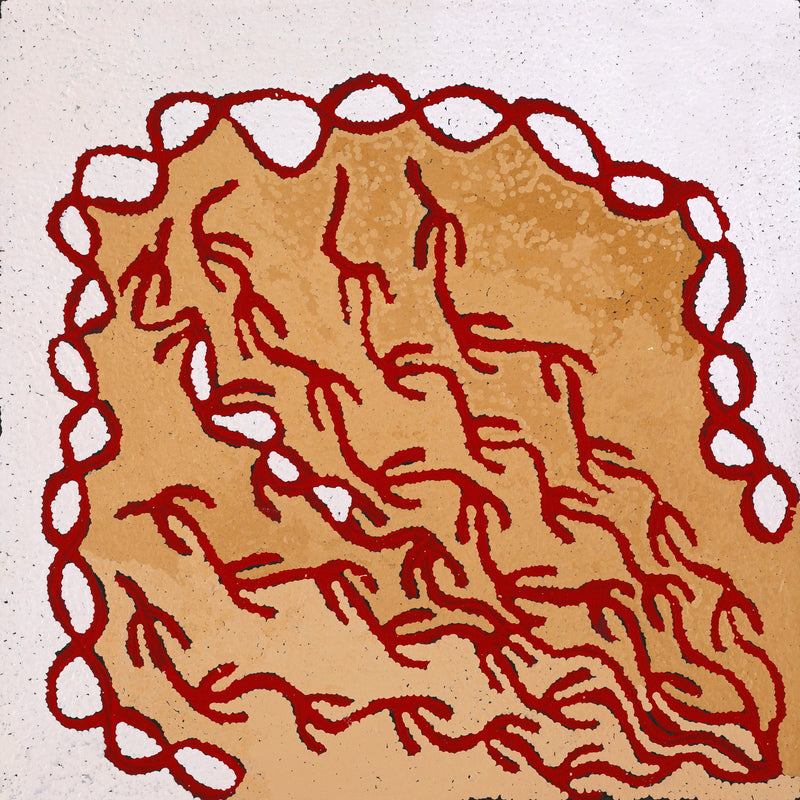 Aboriginal Artwork by Susie Nangala Watson, Mina Mina Dreaming, 61x61cm