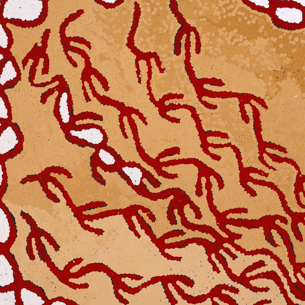 Aboriginal Artwork by Susie Nangala Watson, Mina Mina Dreaming, 61x61cm