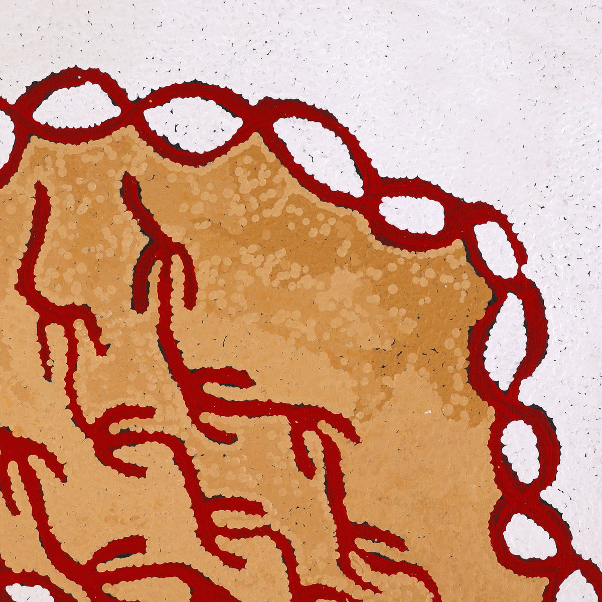 Aboriginal Artwork by Susie Nangala Watson, Mina Mina Dreaming, 61x61cm