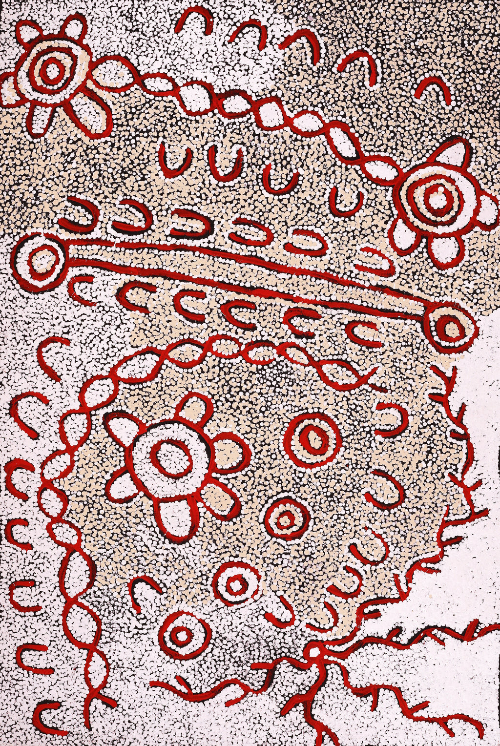 Aboriginal Artwork by Susie Nangala Watson, Mina Mina Dreaming, 91x61cm