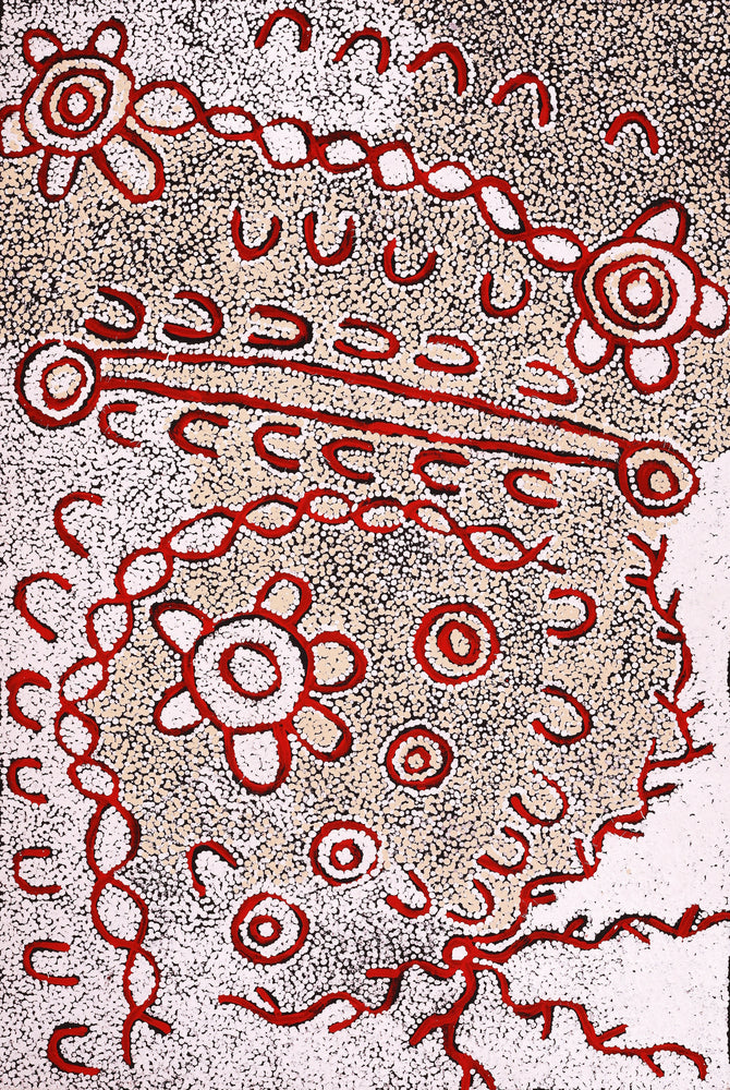 Aboriginal Artwork by Susie Nangala Watson, Mina Mina Dreaming, 91x61cm