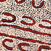 Aboriginal Artwork by Susie Nangala Watson, Mina Mina Dreaming, 91x61cm