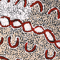 Aboriginal Artwork by Susie Nangala Watson, Mina Mina Dreaming, 91x61cm