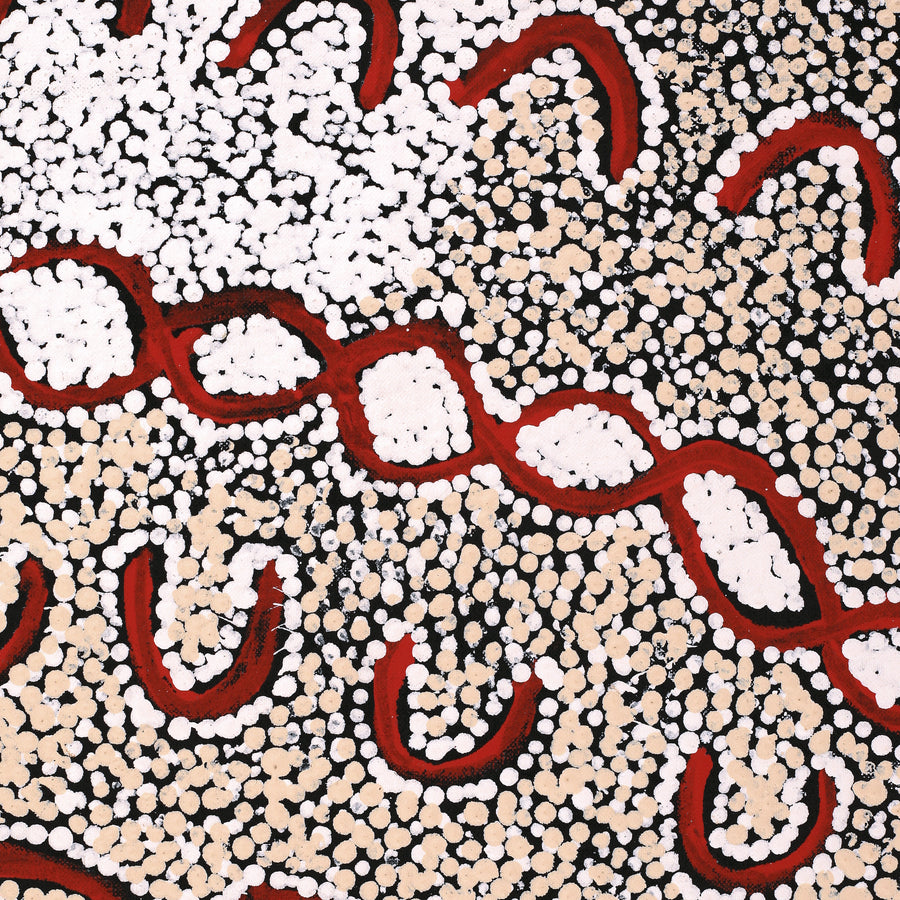 Aboriginal Artwork by Susie Nangala Watson, Mina Mina Dreaming, 91x61cm