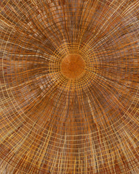 Aboriginal Artwork by Sylvia Marrgawaidj, Woven Mat, 235cm