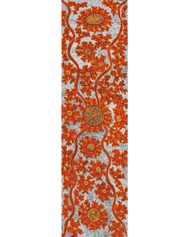 Aboriginal Artwork by Tanya Nungarrayi Collins, Watiya-warnu Jukurrpa (Seed Dreaming), 107x30cm