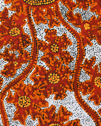 Aboriginal Artwork by Tanya Nungarrayi Collins, Watiya-warnu Jukurrpa (Seed Dreaming), 107x30cm
