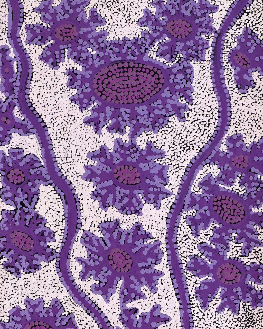 Aboriginal Artwork by Tanya Nungarrayi Collins, Watiya-warnu Jukurrpa (Seed Dreaming), 107x30cm