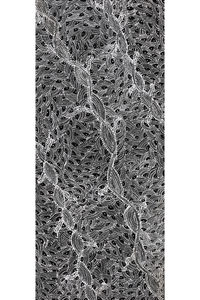 Aboriginal Artwork by Tanya Nungarrayi Collins, Watiya-warnu Jukurrpa (Seed Dreaming), 107x46cm