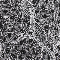 Aboriginal Artwork by Tanya Nungarrayi Collins, Watiya-warnu Jukurrpa (Seed Dreaming), 107x46cm