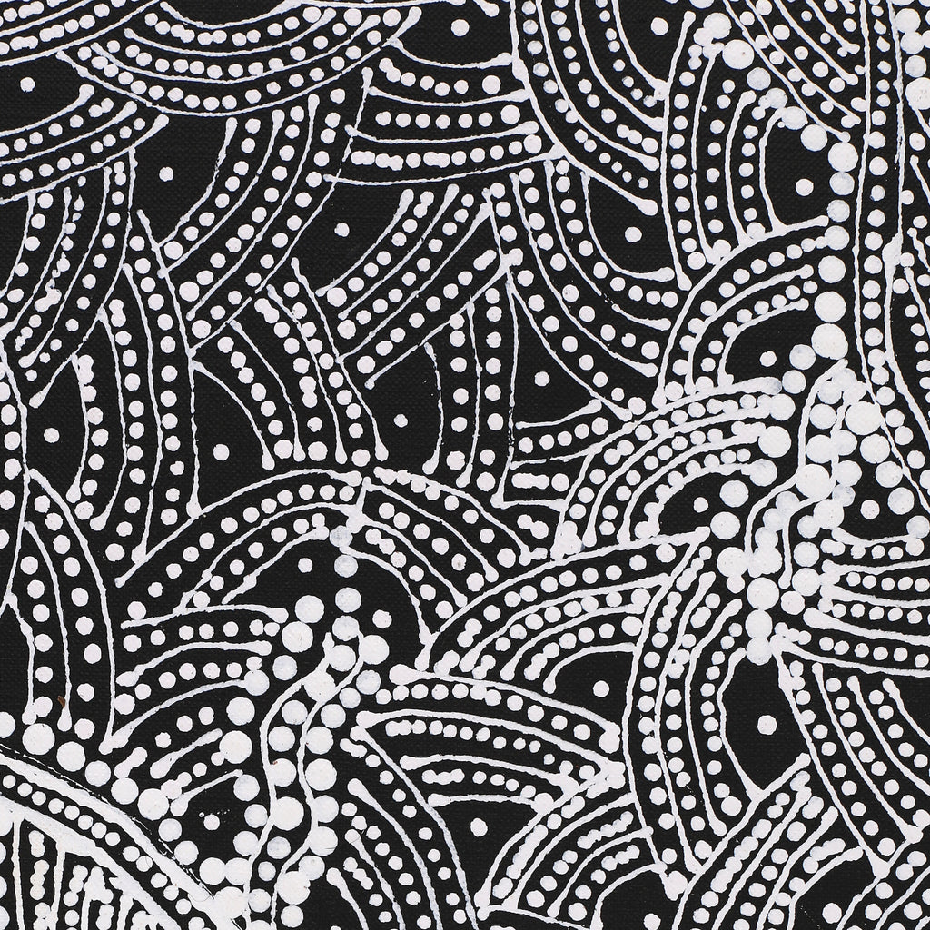 Aboriginal Artwork by Tanya Nungarrayi Collins, Watiya-warnu Jukurrpa (Seed Dreaming), 107x46cm