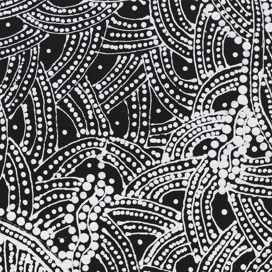 Aboriginal Artwork by Tanya Nungarrayi Collins, Watiya-warnu Jukurrpa (Seed Dreaming), 107x46cm