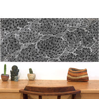 Aboriginal Artwork by Tanya Nungarrayi Collins, Watiya-warnu Jukurrpa (Seed Dreaming), 107x46cm