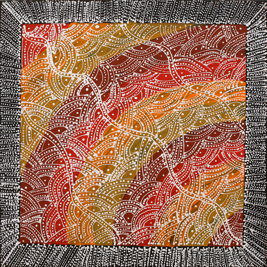 Aboriginal Artwork by Tanya Nungarrayi Collins, Watiya-warnu Jukurrpa (Seed Dreaming), 30x30cm