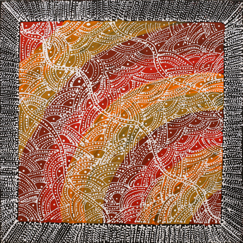 Aboriginal Artwork by Tanya Nungarrayi Collins, Watiya-warnu Jukurrpa (Seed Dreaming), 30x30cm