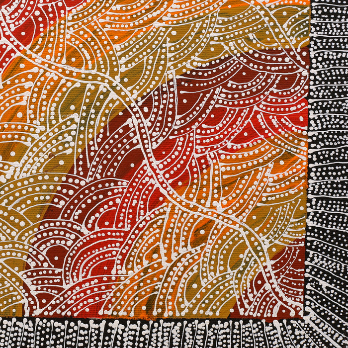 Aboriginal Art by Tanya Nungarrayi Collins, Watiya-warnu Jukurrpa (Seed Dreaming), 30x30cm - ART ARK®