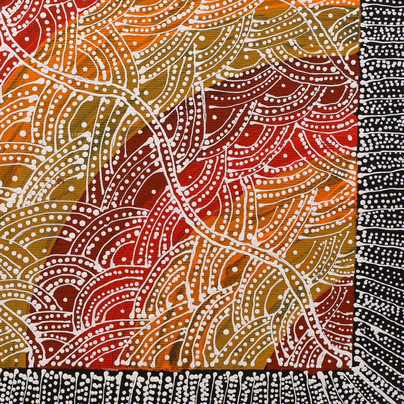 Aboriginal Artwork by Tanya Nungarrayi Collins, Watiya-warnu Jukurrpa (Seed Dreaming), 30x30cm