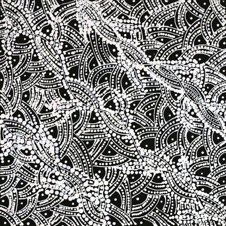 Aboriginal Artwork by Tanya Nungarrayi Collins, Watiya-warnu Jukurrpa (Seed Dreaming), 30x30cm