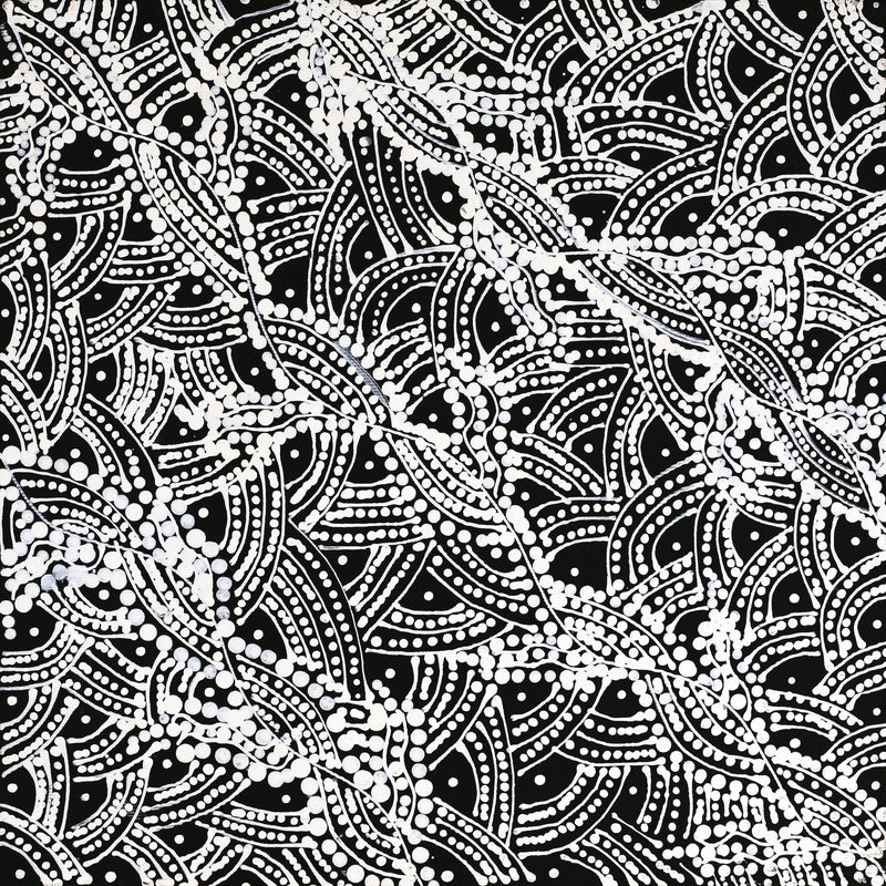 Aboriginal Artwork by Tanya Nungarrayi Collins, Watiya-warnu Jukurrpa (Seed Dreaming), 30x30cm