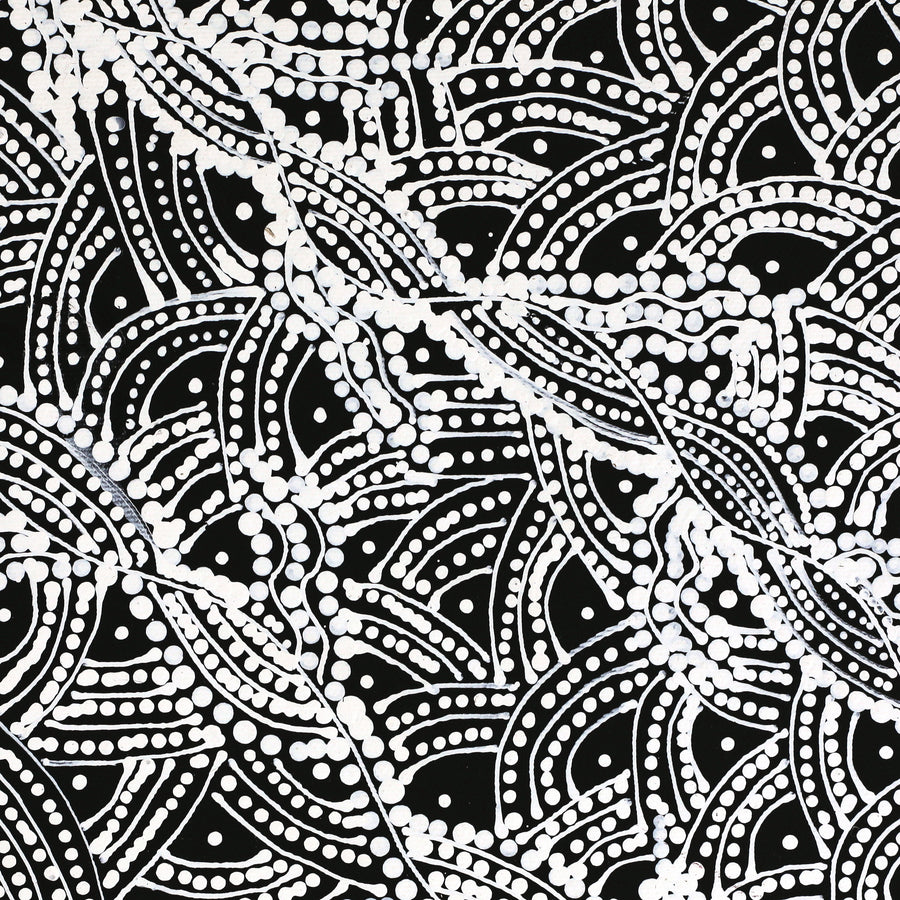 Aboriginal Artwork by Tanya Nungarrayi Collins, Watiya-warnu Jukurrpa (Seed Dreaming), 30x30cm