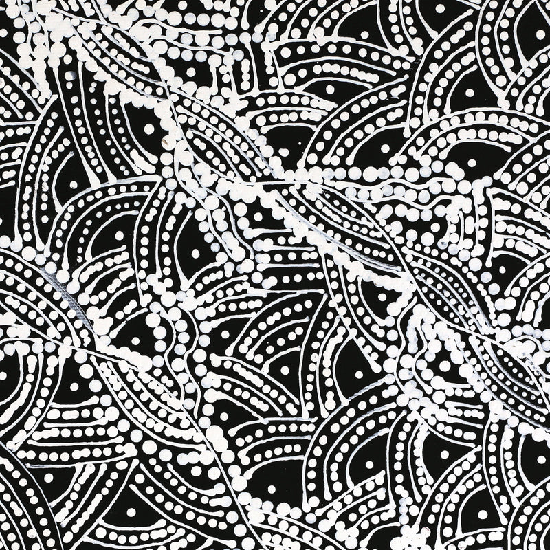 Aboriginal Artwork by Tanya Nungarrayi Collins, Watiya-warnu Jukurrpa (Seed Dreaming), 30x30cm
