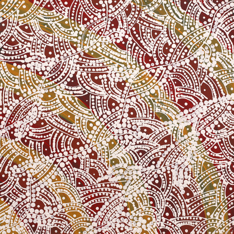 Aboriginal Artwork by Tanya Nungarrayi Collins, Watiya-warnu Jukurrpa (Seed Dreaming), 30x30cm