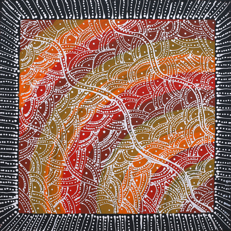 Aboriginal Artwork by Tanya Nungarrayi Collins, Watiya-warnu Jukurrpa (Seed Dreaming), 30x30cm