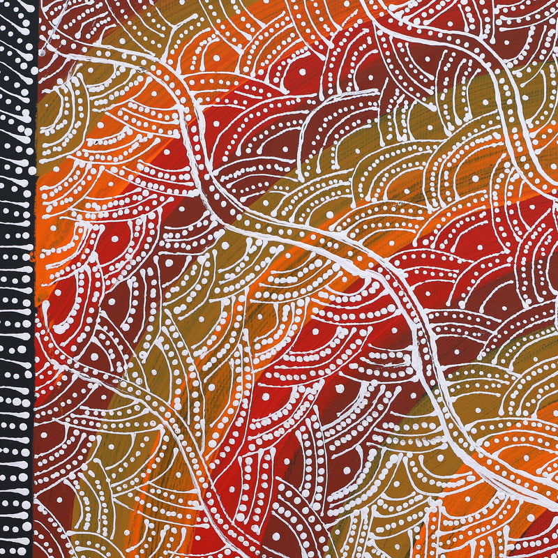 Aboriginal Artwork by Tanya Nungarrayi Collins, Watiya-warnu Jukurrpa (Seed Dreaming), 30x30cm