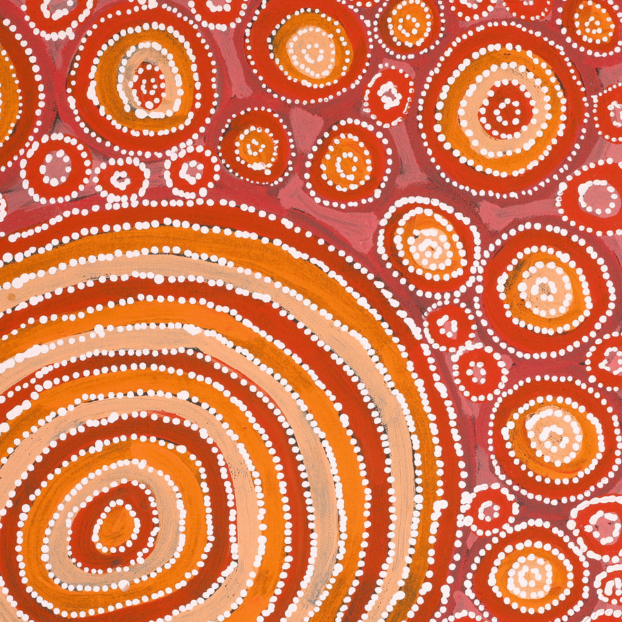 Aboriginal Artwork by Tanya Nungarrayi Collins, Watiya-warnu Jukurrpa (Seed Dreaming), 46x46cm