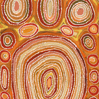 Aboriginal Artwork by Tanya Nungarrayi Collins, Watiya-warnu Jukurrpa (Seed Dreaming), 61x30cm