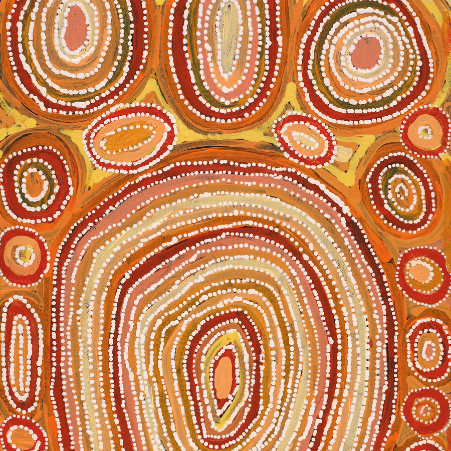 Aboriginal Artwork by Tanya Nungarrayi Collins, Watiya-warnu Jukurrpa (Seed Dreaming), 61x30cm