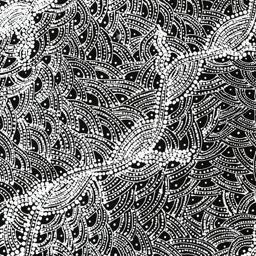 Aboriginal Artwork by Tanya Nungarrayi Collins, Watiya-warnu Jukurrpa (Seed Dreaming), 76x61cm