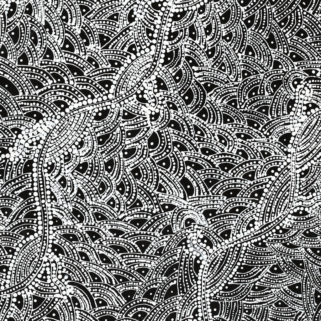 Aboriginal Artwork by Tanya Nungarrayi Collins, Watiya-warnu Jukurrpa (Seed Dreaming), 76x61cm