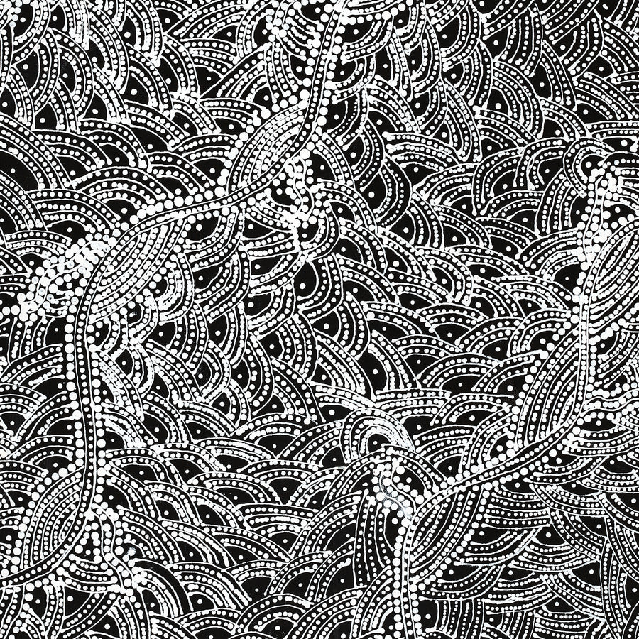 Aboriginal Artwork by Tanya Nungarrayi Collins, Watiya-warnu Jukurrpa (Seed Dreaming), 76x61cm