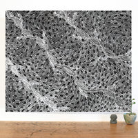 Aboriginal Artwork by Tanya Nungarrayi Collins, Watiya-warnu Jukurrpa (Seed Dreaming), 76x61cm