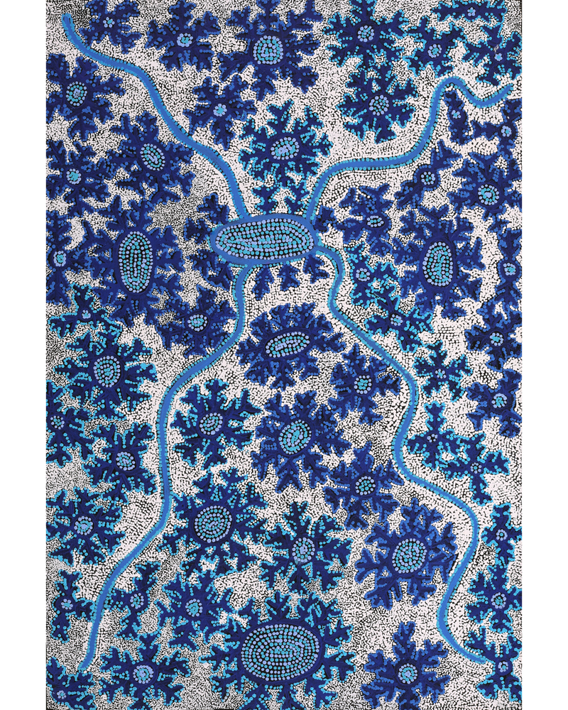 Aboriginal Artwork by Tanya Nungarrayi Collins, Watiya-warnu Jukurrpa (Seed Dreaming), 91x61cm