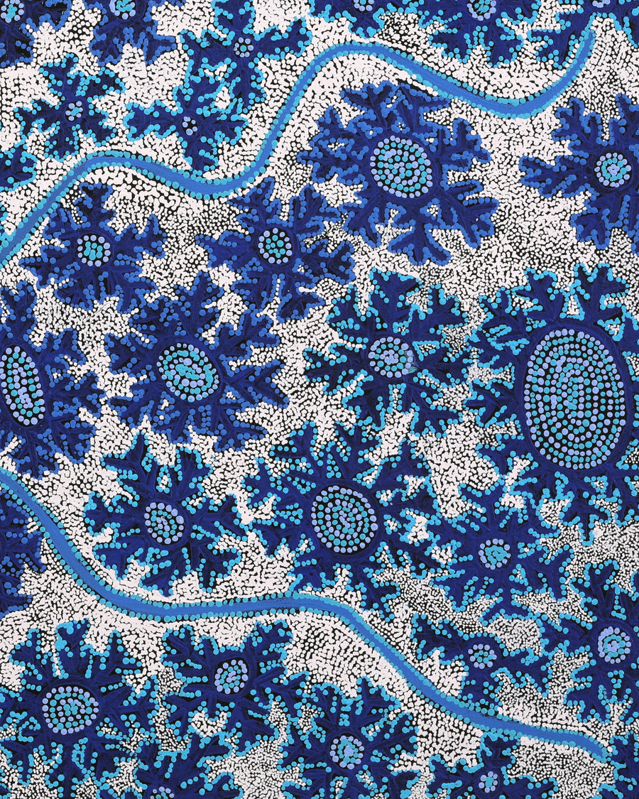 Aboriginal Artwork by Tanya Nungarrayi Collins, Watiya-warnu Jukurrpa (Seed Dreaming), 91x61cm