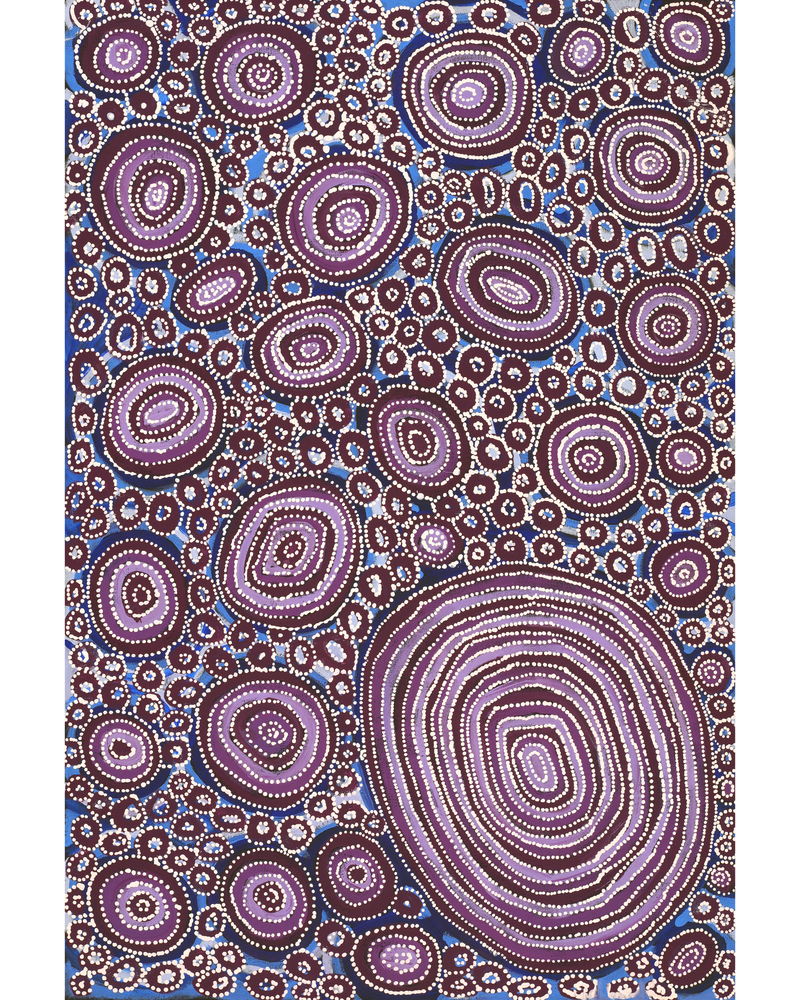 Aboriginal Artwork by Tanya Nungarrayi Collins, Watiya-warnu Jukurrpa (Seed Dreaming), 91x61cm
