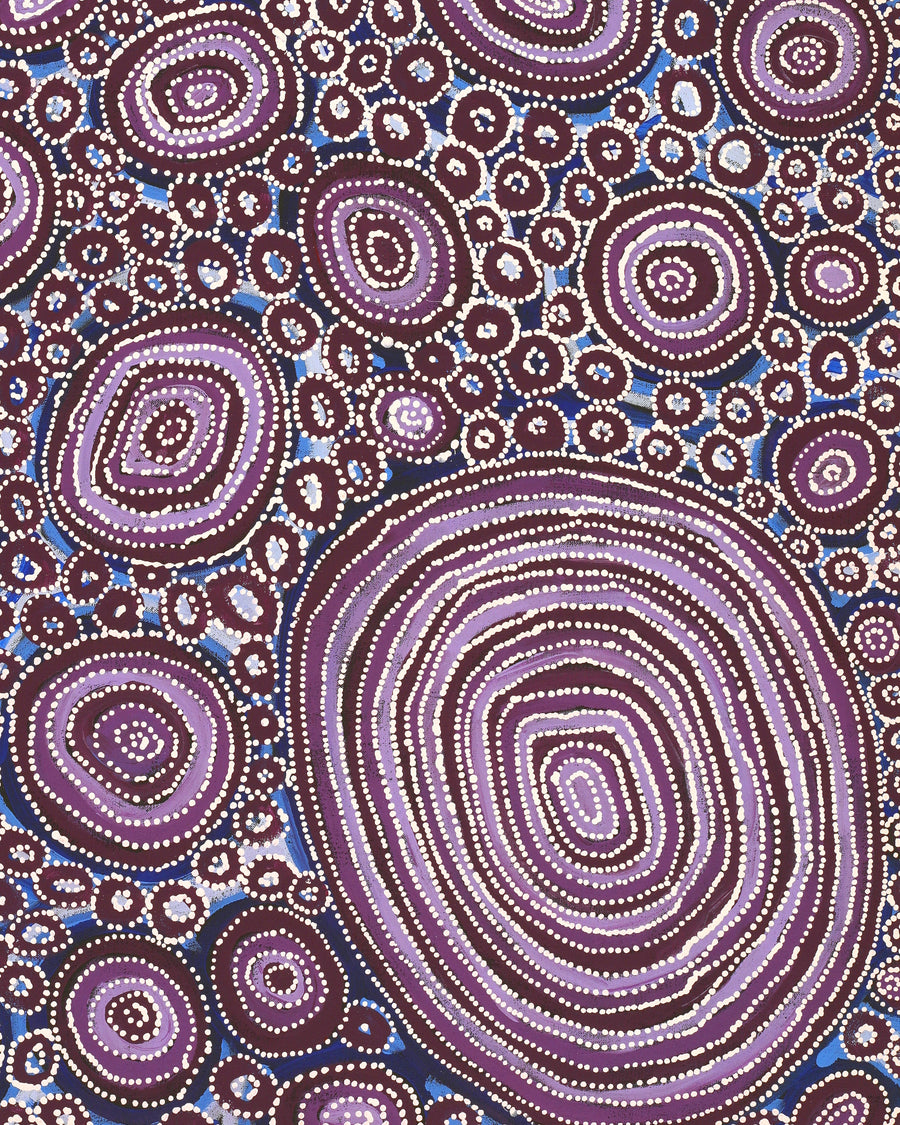 Aboriginal Artwork by Tanya Nungarrayi Collins, Watiya-warnu Jukurrpa (Seed Dreaming), 91x61cm