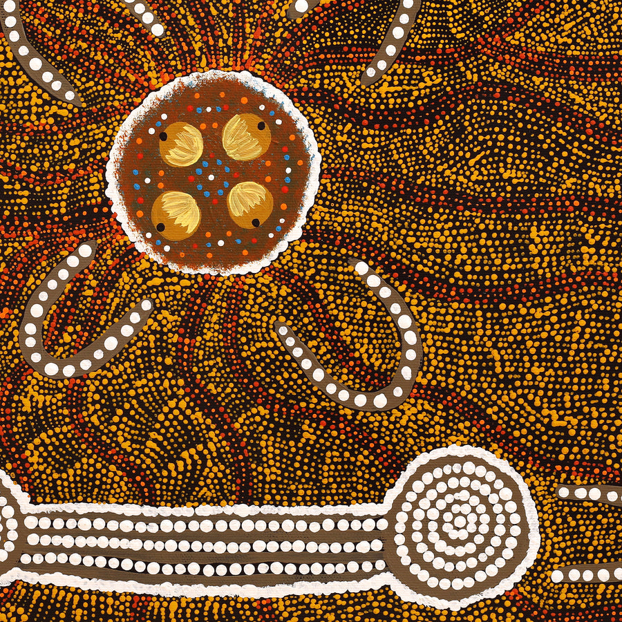 Aboriginal Artwork by Tanya Napangardi Wheeler, Wardapi Jukurrpa (Goanna Dreaming) - Yarripilangu , 40x40cm