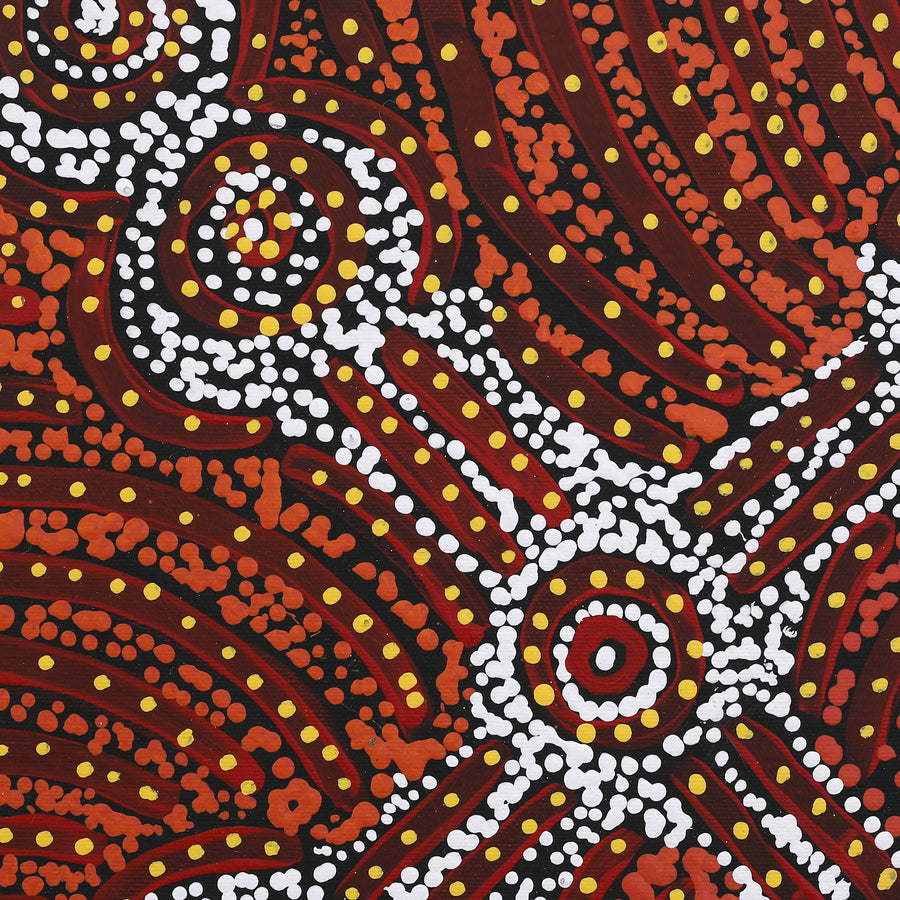 Aboriginal Artwork by Teranie Nangala Williams, Wanakiji Jukurrpa (Bush Tomato Dreaming), 40x40cm