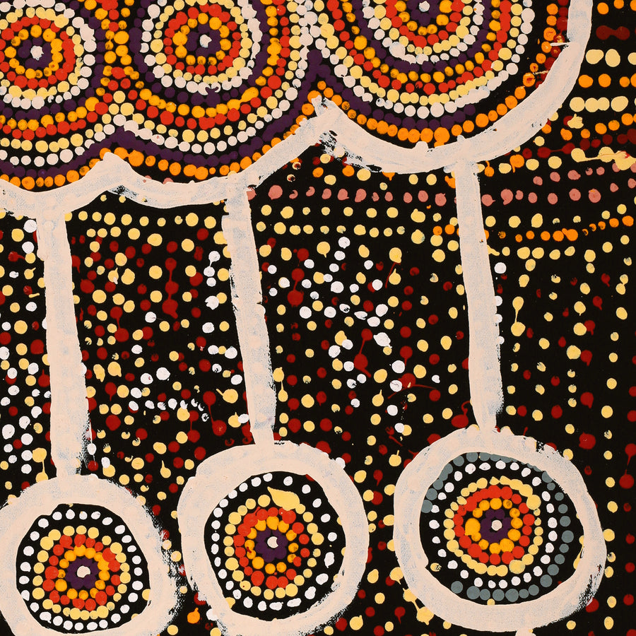 Aboriginal Artwork by Tasha Nampijinpa Collins, Ngapa Jukurrpa (Water Dreaming) - Puyurru, 61x30cm