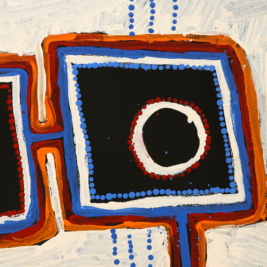 Aboriginal Artwork by Tasha Nampijinpa Collins, Ngapa Jukurrpa (Water Dreaming) - Puyurru, 61x46cm